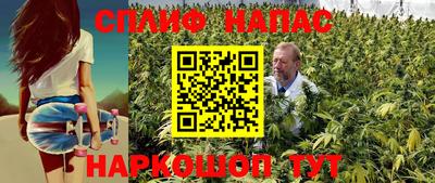 круглые Камышлов