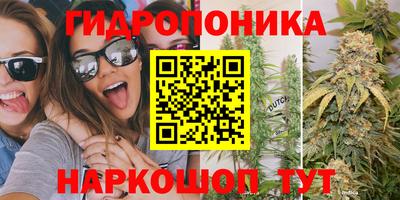 круглые Камышлов